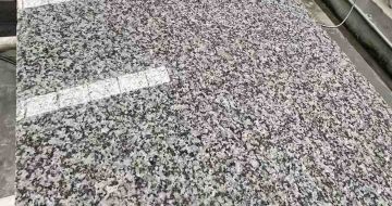 达州 芙蓉白光面