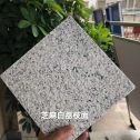 达州 芝麻白荔枝面干挂