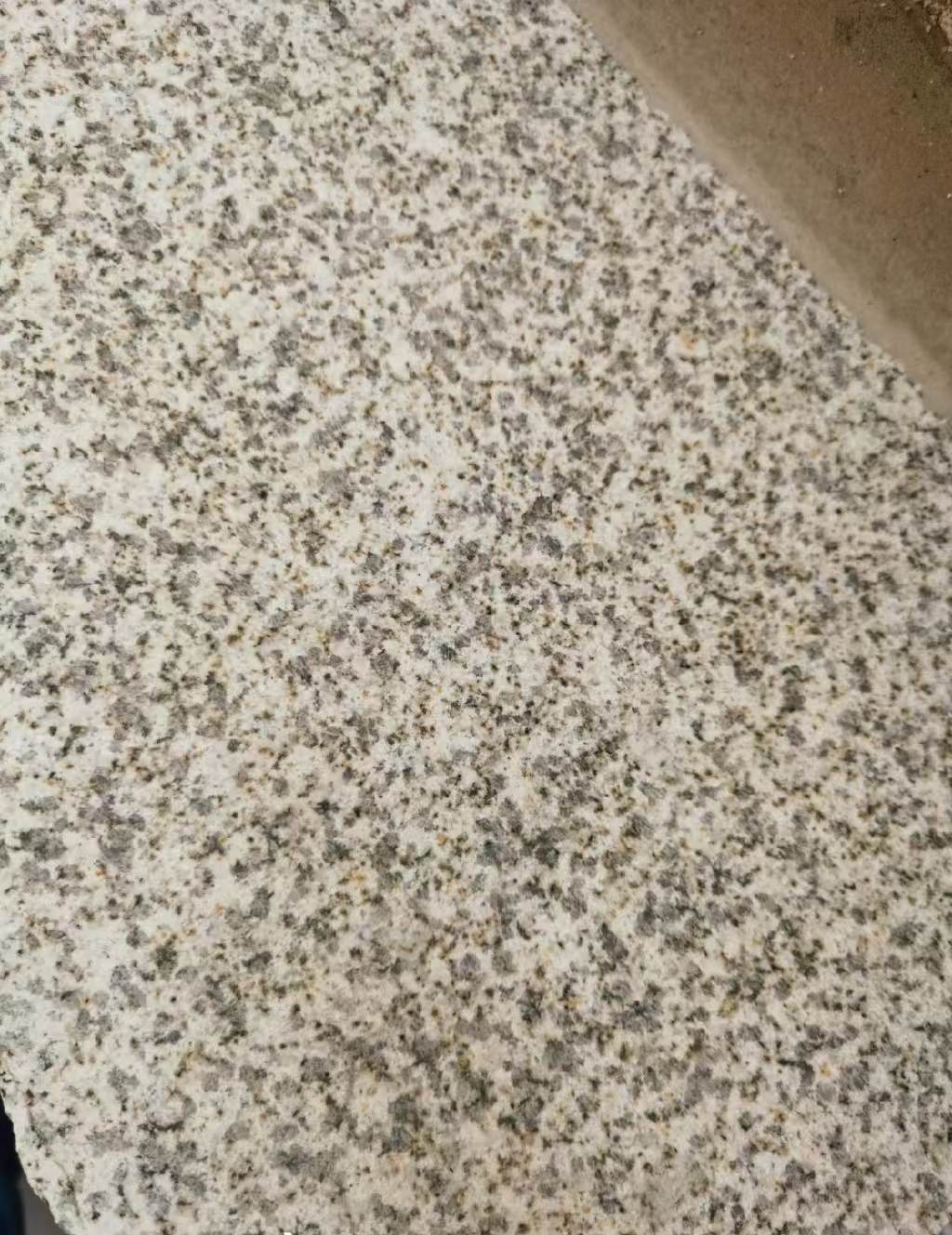 达州 黄金麻中黄光面