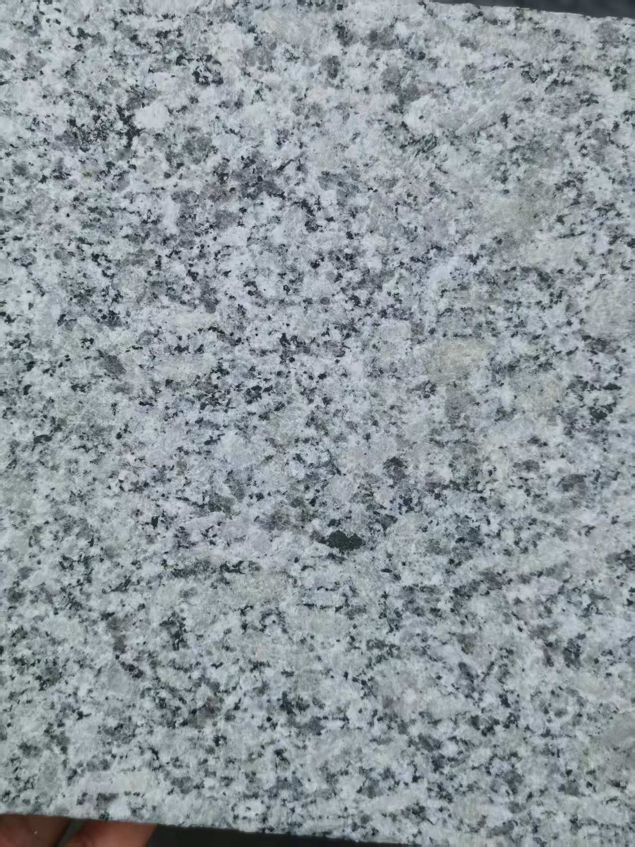 达州 芙蓉白火烧面