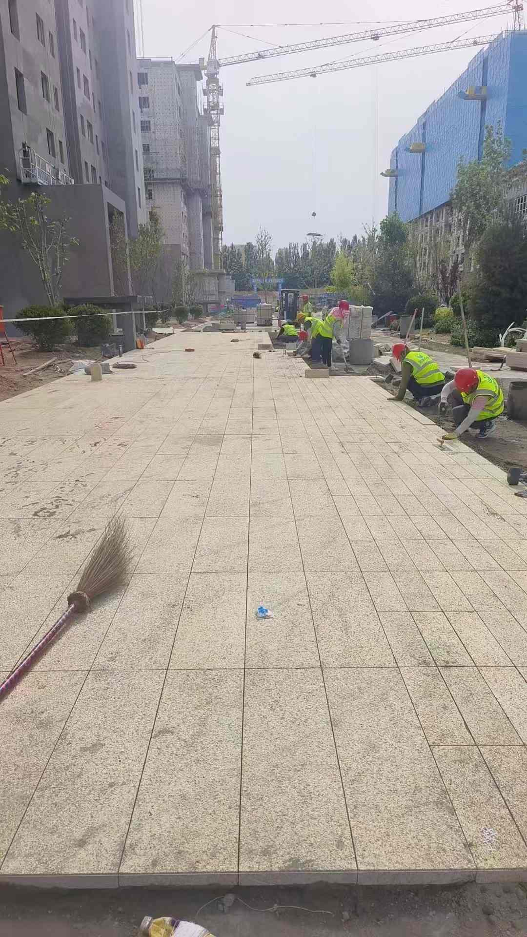 达州黄金麻荔枝面地铺案例