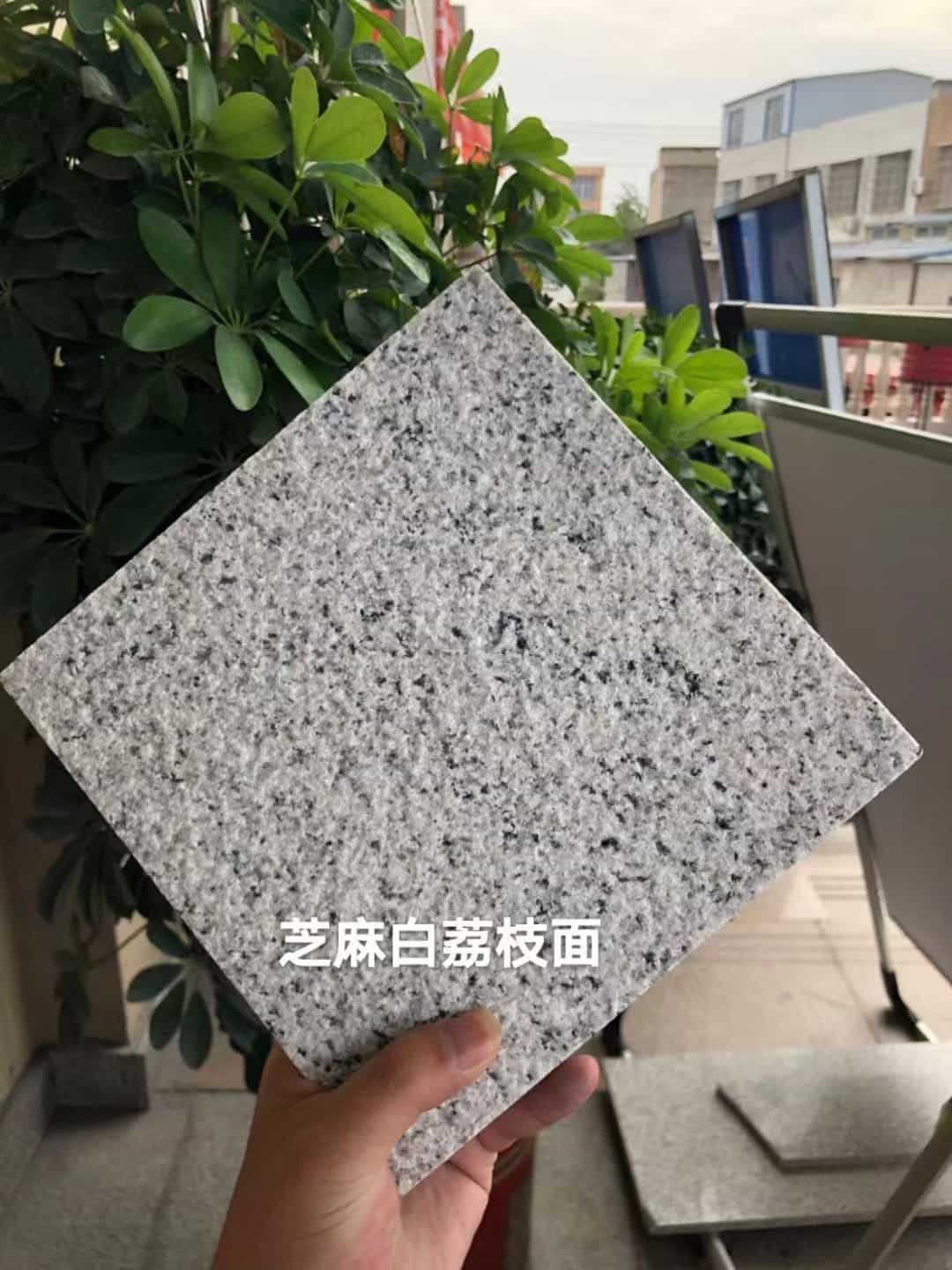 达州 芝麻白荔枝面干挂